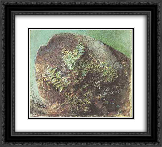 Ferns on a Rock 22x20 Black Ornate Wood Framed Art Print Poster with Double Matting by Ruskin, John