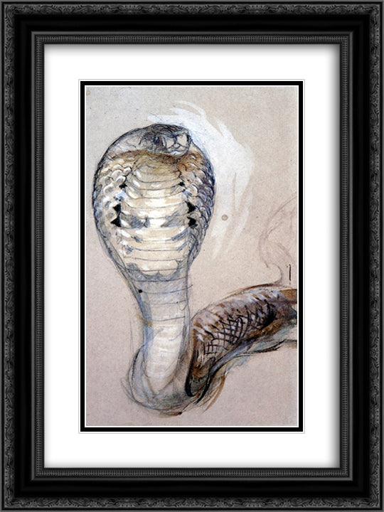 Full Face of Cobra 18x24 Black Ornate Wood Framed Art Print Poster with Double Matting by Ruskin, John