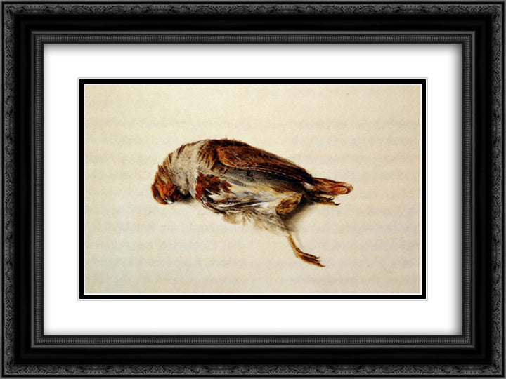 Plumage of Partridge 24x18 Black Ornate Wood Framed Art Print Poster with Double Matting by Ruskin, John