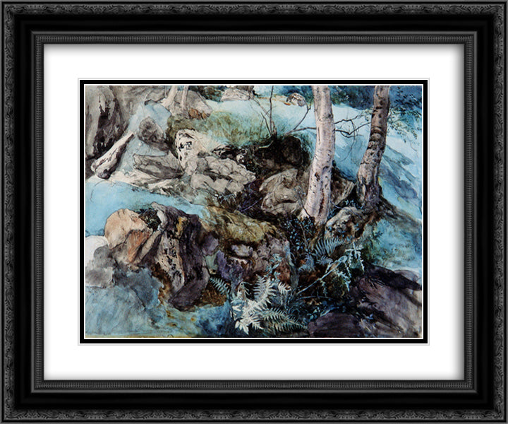 Rocks and Ferns in a Wood at Crossmount 24x20 Black Ornate Wood Framed Art Print Poster with Double Matting by Ruskin, John