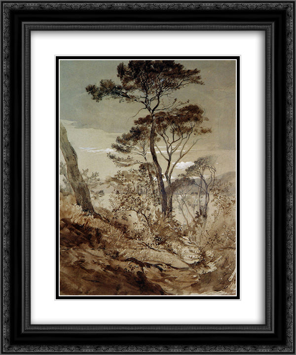 Stone Pines at Sestri 20x24 Black Ornate Wood Framed Art Print Poster with Double Matting by Ruskin, John