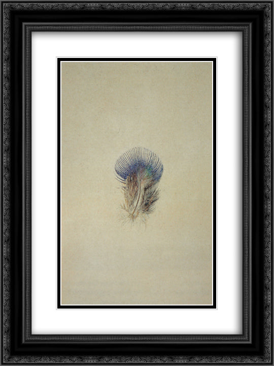 Study of a Peacock's Breast Feather 18x24 Black Ornate Wood Framed Art Print Poster with Double Matting by Ruskin, John
