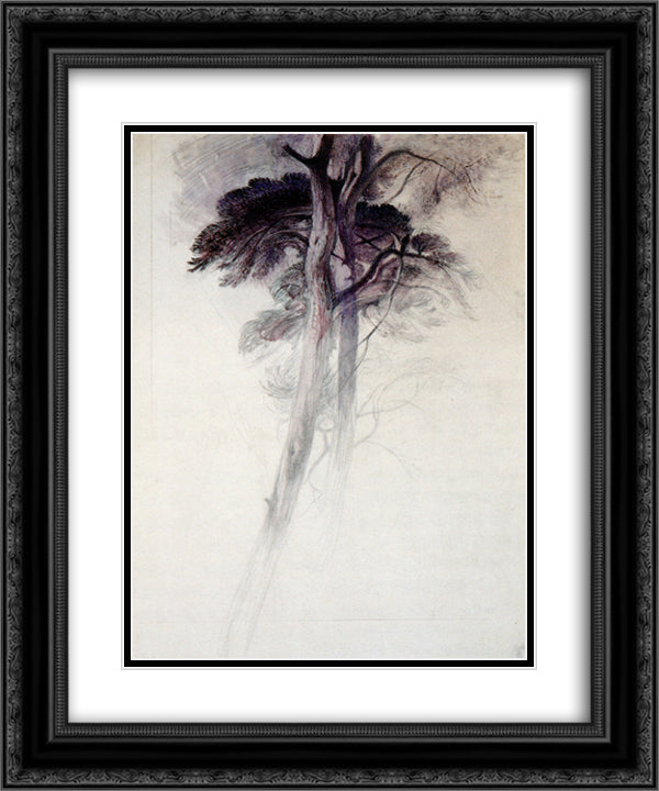 Study of Trees from Turner 20x24 Black Ornate Wood Framed Art Print Poster with Double Matting by Ruskin, John