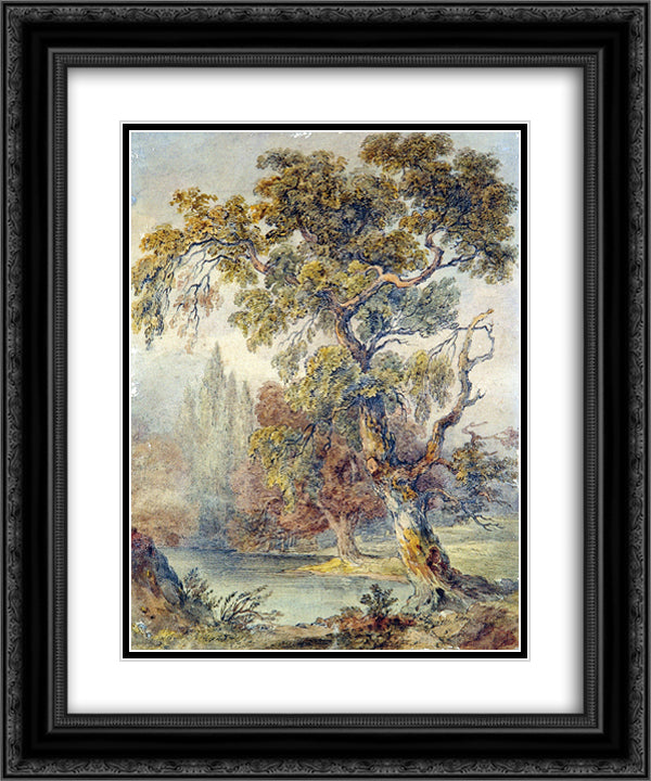 Trees and Pond 20x24 Black Ornate Wood Framed Art Print Poster with Double Matting by Ruskin, John