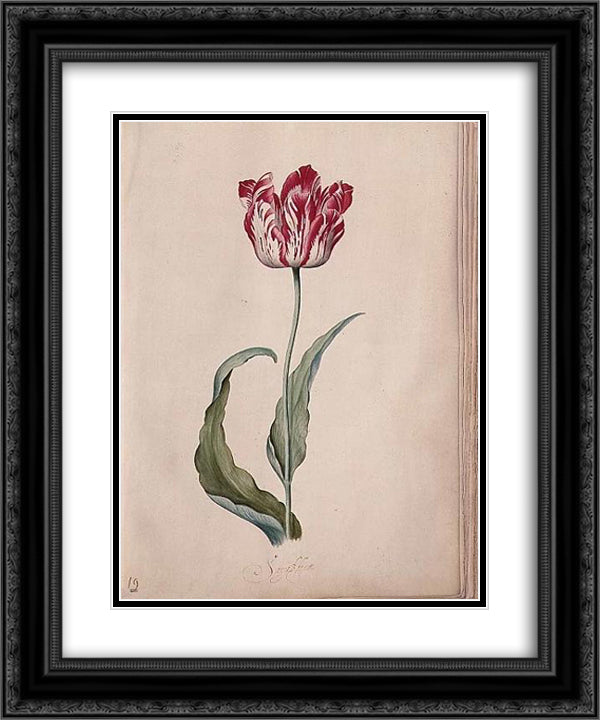 Tulip 20x24 Black Ornate Wood Framed Art Print Poster with Double Matting by Leyster, Judith