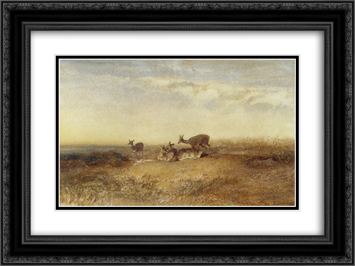 Deer in a Landscape 24x18 Black Ornate Wood Framed Art Print Poster with Double Matting by Bodmer, Karl