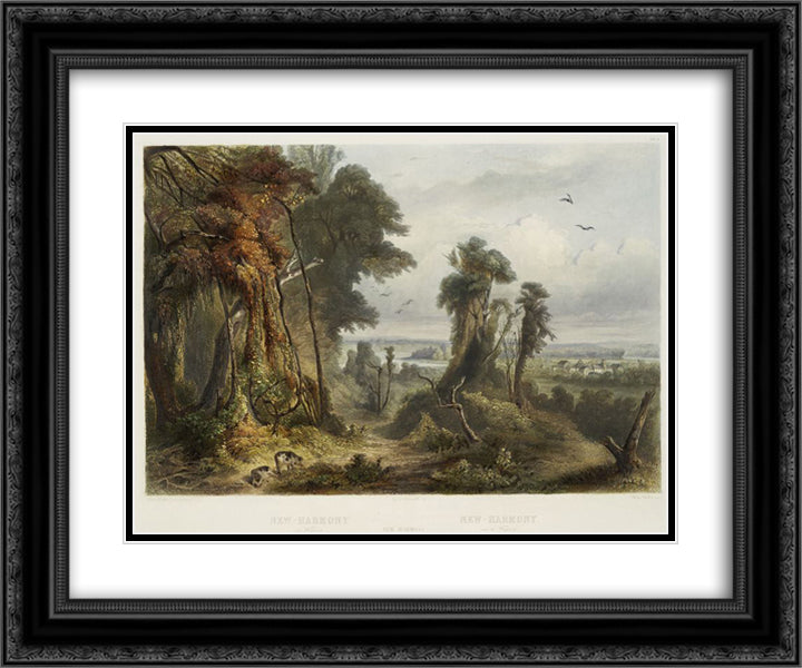 New Harmony on the Wabash, plate 2 from Volume 2 of 'Travels in the Interior of North America' 24x20 Black Ornate Wood Framed Art Print Poster with Double Matting by Bodmer, Karl