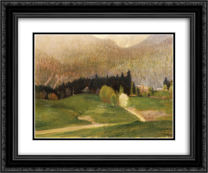 Landscape with Fir Trees 24x20 Black Ornate Wood Framed Art Print Poster with Double Matting by Parthenis, Konstantinos