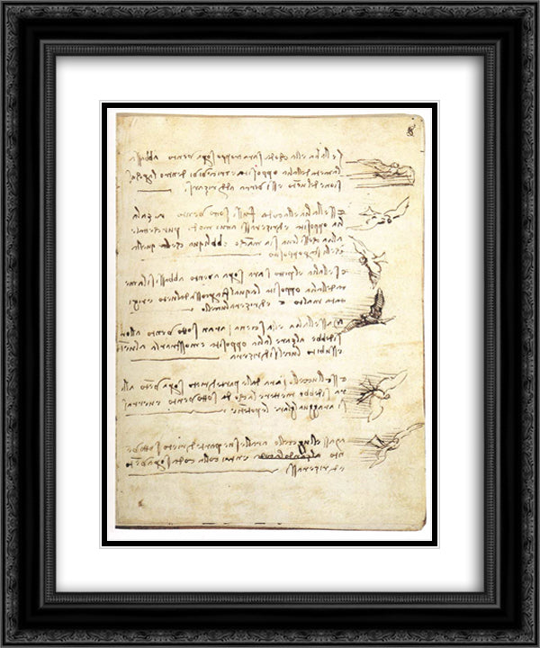 Codex on the flight of birds 20x24 Black Ornate Wood Framed Art Print Poster with Double Matting by da Vinci, Leonardo