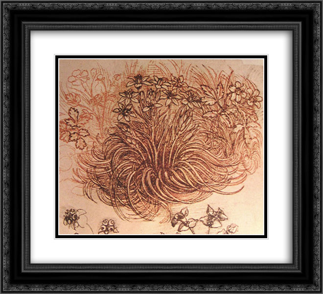 Drawing of a botanical study 22x20 Black Ornate Wood Framed Art Print Poster with Double Matting by da Vinci, Leonardo