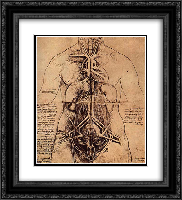 Drawing of a Woman's Torso 20x22 Black Ornate Wood Framed Art Print Poster with Double Matting by da Vinci, Leonardo