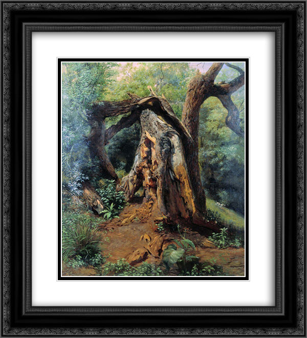 An old tree 20x22 Black Ornate Wood Framed Art Print Poster with Double Matting by Lagorio, Lev