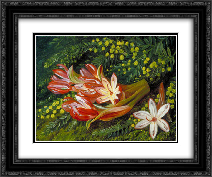 Australian Spear Lily and an Acacia 24x20 Black Ornate Wood Framed Art Print Poster with Double Matting by North, Marianne