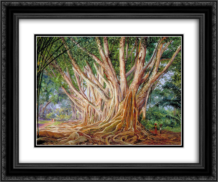 Avenue of Indian Rubber Trees at Peradeniya, Ceylon 24x20 Black Ornate Wood Framed Art Print Poster with Double Matting by North, Marianne