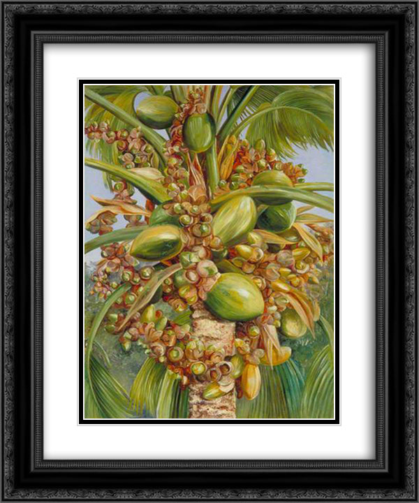 Female Coco de Mer Bearing Fruit Covered with Small Green Lizards 20x24 Black Ornate Wood Framed Art Print Poster with Double Matting by North, Marianne