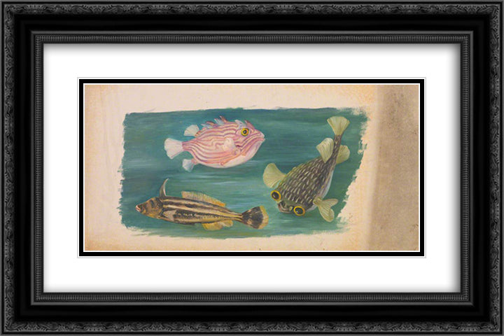 Fishes 24x16 Black Ornate Wood Framed Art Print Poster with Double Matting by North, Marianne