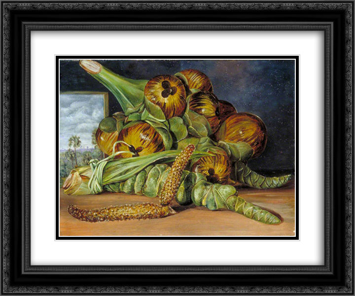 Flowers and Fruit of the Palmyra, and the Palm Seen through a Window, Java 24x20 Black Ornate Wood Framed Art Print Poster with Double Matting by North, Marianne