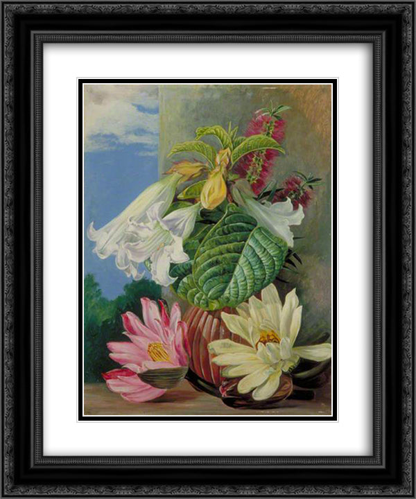 Flowers Cultivated in the Botanic Garden, Rio Janeiro, Brazil 20x24 Black Ornate Wood Framed Art Print Poster with Double Matting by North, Marianne