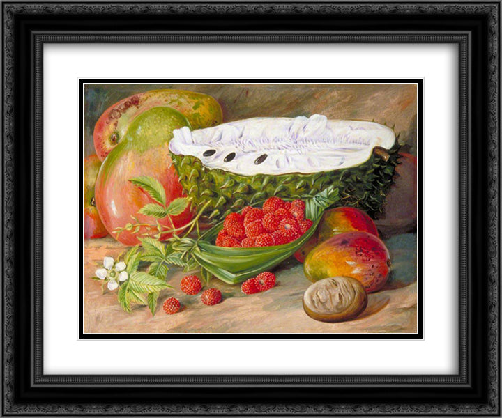 Fruit Grown in the Seychelles 24x20 Black Ornate Wood Framed Art Print Poster with Double Matting by North, Marianne