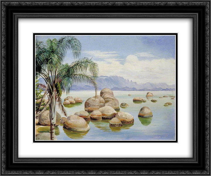 Palm Trees and Boulders in the Bay of Rio, Brazil 24x20 Black Ornate Wood Framed Art Print Poster with Double Matting by North, Marianne