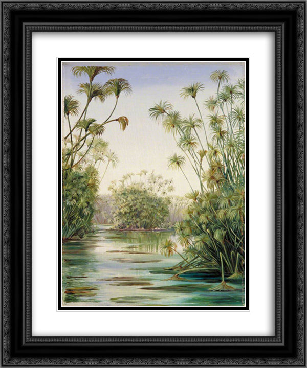 Papyrus or Paper Reed Growing in the Ciane, Sicily 20x24 Black Ornate Wood Framed Art Print Poster with Double Matting by North, Marianne