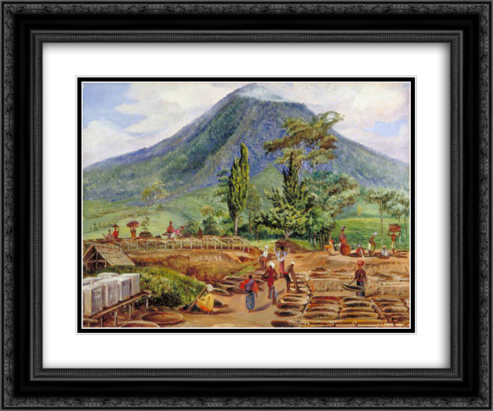 Tea-Drying in Mr Holle's Establishment, Java 24x20 Black Ornate Wood Framed Art Print Poster with Double Matting by North, Marianne