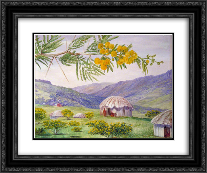 The South African Doornboom and Fingo Huts 24x20 Black Ornate Wood Framed Art Print Poster with Double Matting by North, Marianne