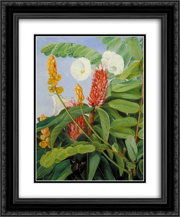 Two Swamp Plants of Java in Flower 20x24 Black Ornate Wood Framed Art Print Poster with Double Matting by North, Marianne