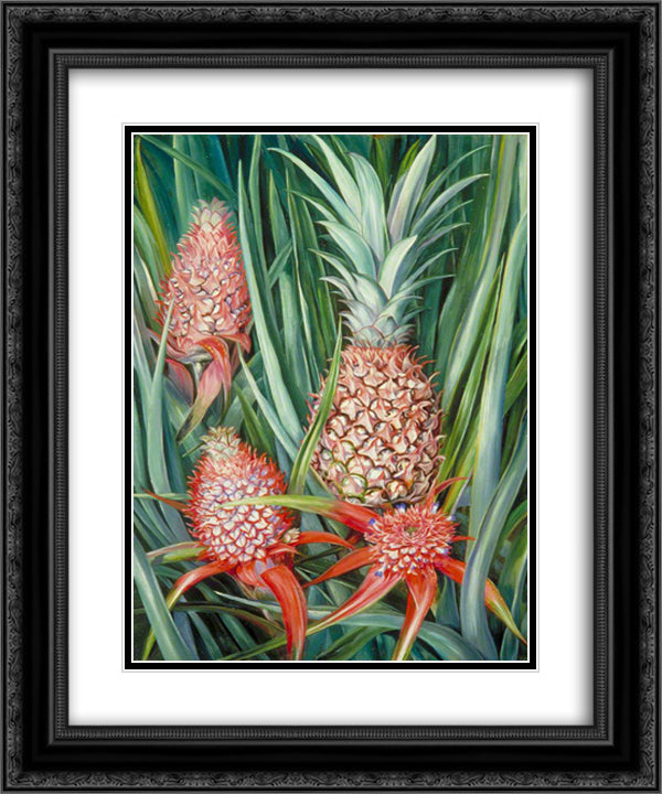 Wild Pine Apple in Flower and Fruit, Borneo 20x24 Black Ornate Wood Framed Art Print Poster with Double Matting by North, Marianne