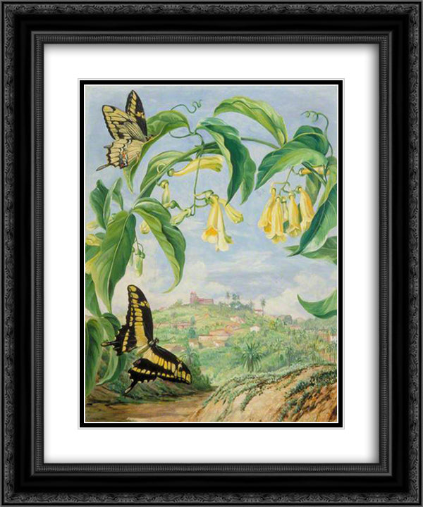 Yellow Bignonia and Swallow-Tail Butterflies with a View of Congonhas, Brazil 20x24 Black Ornate Wood Framed Art Print Poster with Double Matting by North, Marianne