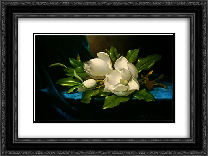 Giant Magnolias on a Blue Velvet Cloth 24x18 Black Ornate Wood Framed Art Print Poster with Double Matting by Heade, Martin Johnson