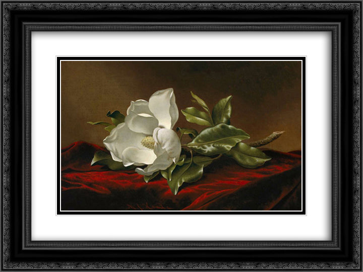 Magnolia Grandiflora 24x18 Black Ornate Wood Framed Art Print Poster with Double Matting by Heade, Martin Johnson