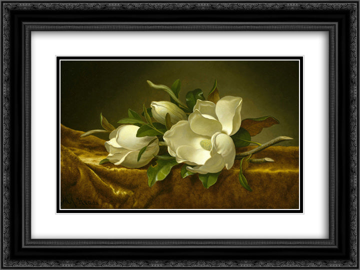 Magnolias on Gold Velvet Cloth 24x18 Black Ornate Wood Framed Art Print Poster with Double Matting by Heade, Martin Johnson