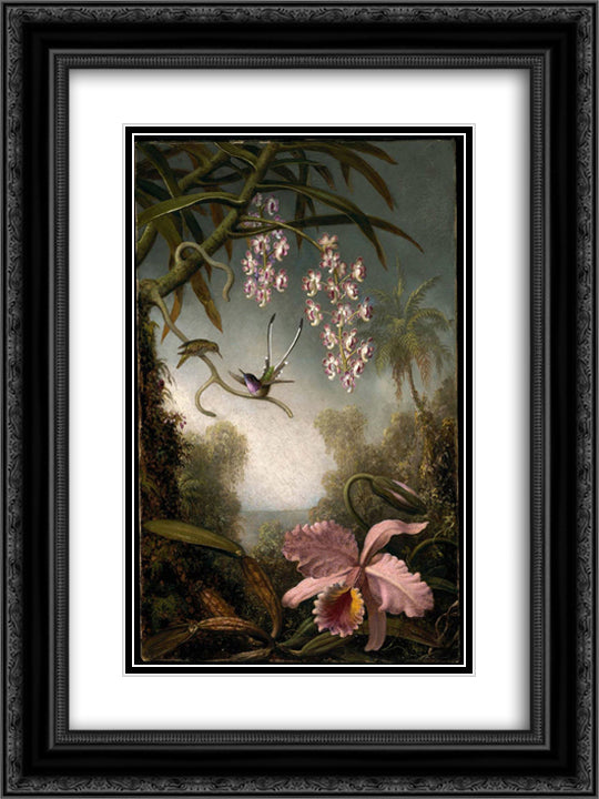 Orchids and Spray Orchids with Hummingbird 18x24 Black Ornate Wood Framed Art Print Poster with Double Matting by Heade, Martin Johnson