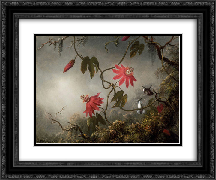 Passion Flowers with Hummingbirds 24x20 Black Ornate Wood Framed Art Print Poster with Double Matting by Heade, Martin Johnson