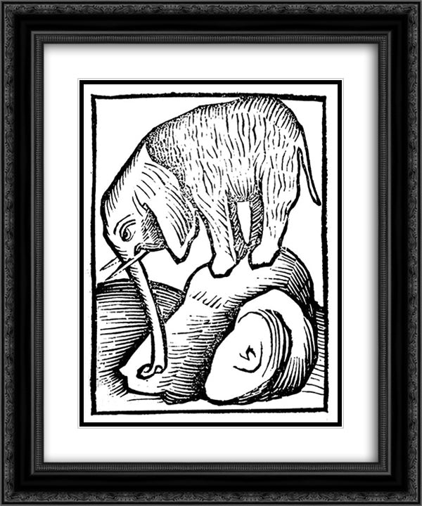 Elephant in Hortus sanitatis 20x24 Black Ornate Wood Framed Art Print Poster with Double Matting by Schongauer, Martin