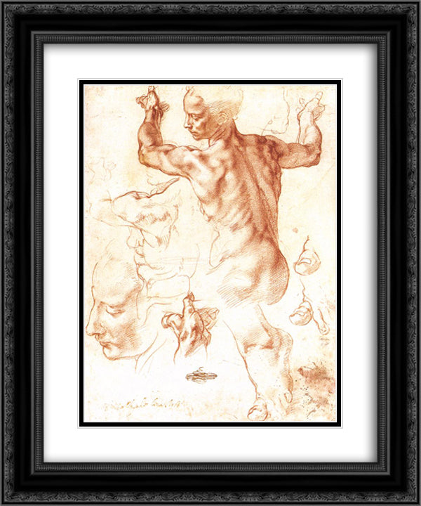 Study to The Libyan Sibyl 20x24 Black Ornate Wood Framed Art Print Poster with Double Matting by Michelangelo