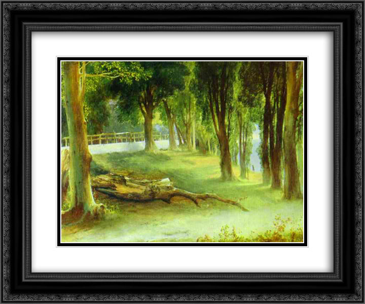 Albano. White Wall 24x20 Black Ornate Wood Framed Art Print Poster with Double Matting by Lebedev, Mikhail