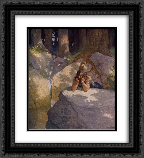 Sir Launcelot in the wilderness, after leaving the Round Table 20x22 Black Ornate Wood Framed Art Print Poster with Double Matting by Wyeth, N.C.