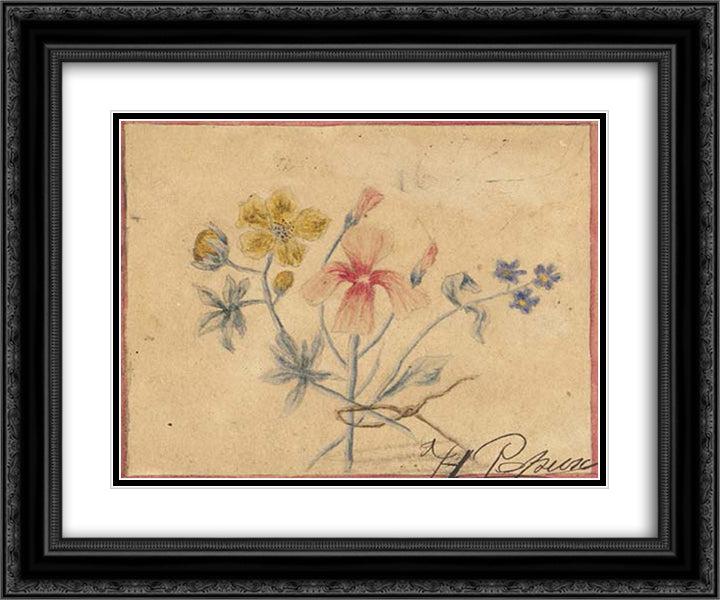 Study of flowers 24x20 Black Ornate Wood Framed Art Print Poster with Double Matting by Roerich, Nicholas