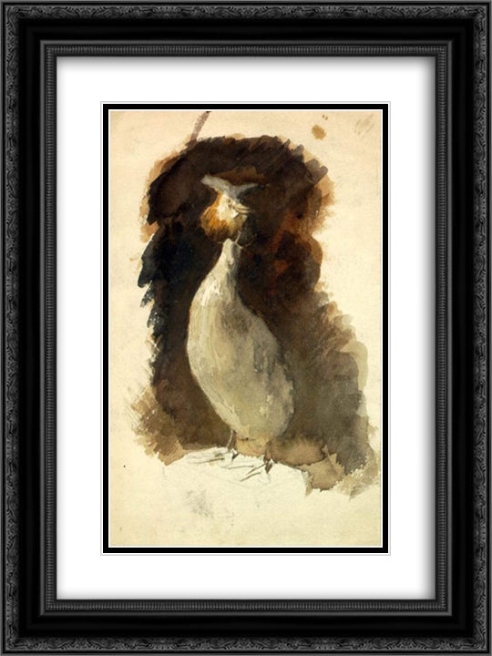 Stuffed grouse 18x24 Black Ornate Wood Framed Art Print Poster with Double Matting by Roerich, Nicholas