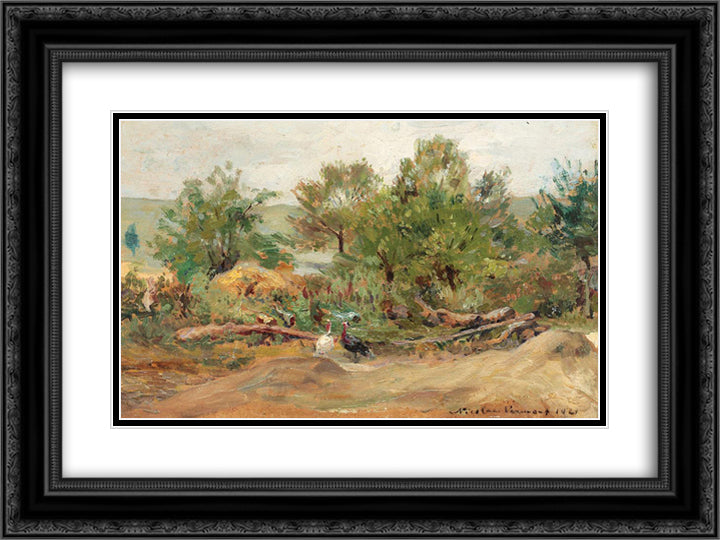 Turkeys in Vlaici 24x18 Black Ornate Wood Framed Art Print Poster with Double Matting by Vermont, Nicolae