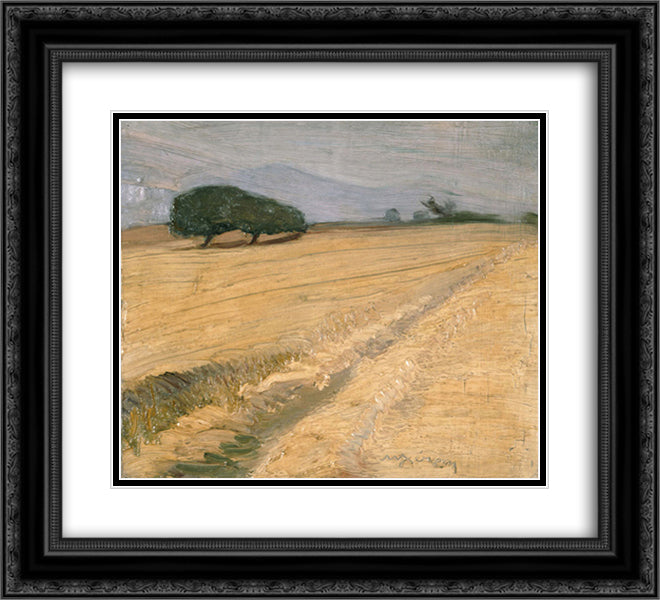 Field with Haystacks 22x20 Black Ornate Wood Framed Art Print Poster with Double Matting by Lytras, Nikolaos