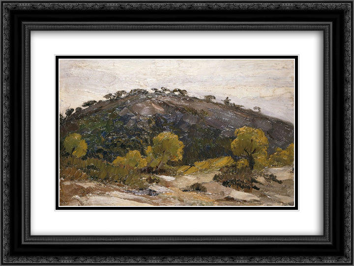 Hillside 24x18 Black Ornate Wood Framed Art Print Poster with Double Matting by Lytras, Nikolaos
