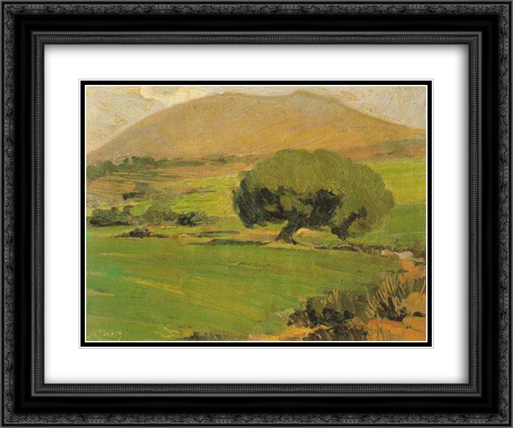 Landscape of Attica 24x20 Black Ornate Wood Framed Art Print Poster with Double Matting by Lytras, Nikolaos