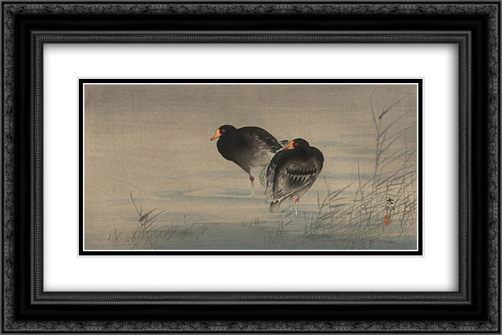 Two Gallinules in Shallow Water 24x16 Black Ornate Wood Framed Art Print Poster with Double Matting by Koson, Ohara