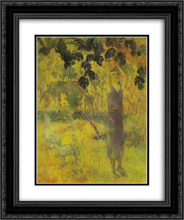 Man Picking Fruit from a Tree 20x24 Black Ornate Wood Framed Art Print Poster with Double Matting by Gauguin, Paul