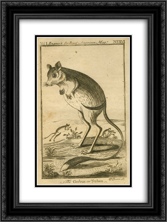 Geruba 18x24 Black Ornate Wood Framed Art Print Poster with Double Matting by Revere, Paul