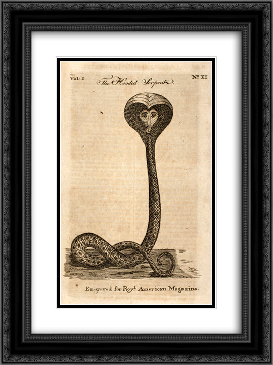 Hooded Serpent 18x24 Black Ornate Wood Framed Art Print Poster with Double Matting by Revere, Paul