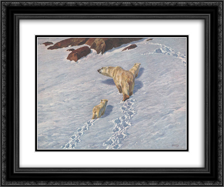 Polar bear family 24x20 Black Ornate Wood Framed Art Print Poster with Double Matting by Friese, Richard